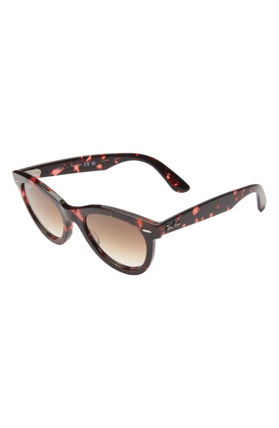 Shop Ray Ban Wayfarer Way 54mm Gradient Oval Sunglasses In Havana Pink