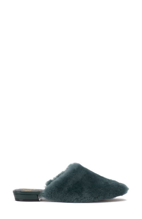 Vince Camuto Samara Mule In Mallard Green