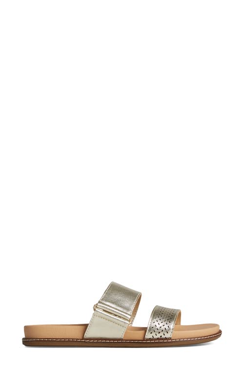 Shop Sperry Waveside Pw Seasonal Slide Sandal In Platinum