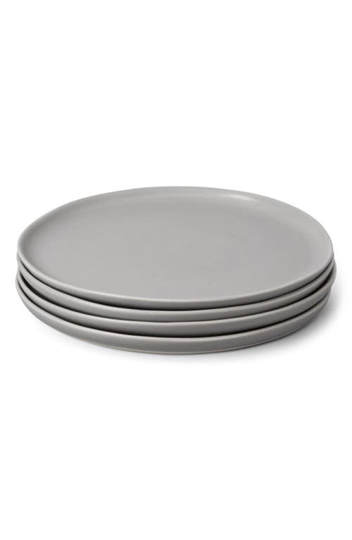 Fable The Salad Set of 4 Plates in Dove Grey at Nordstrom
