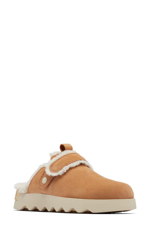 Shop Sorel Viibe Faux Fur Clog In Tawny Buff/natural