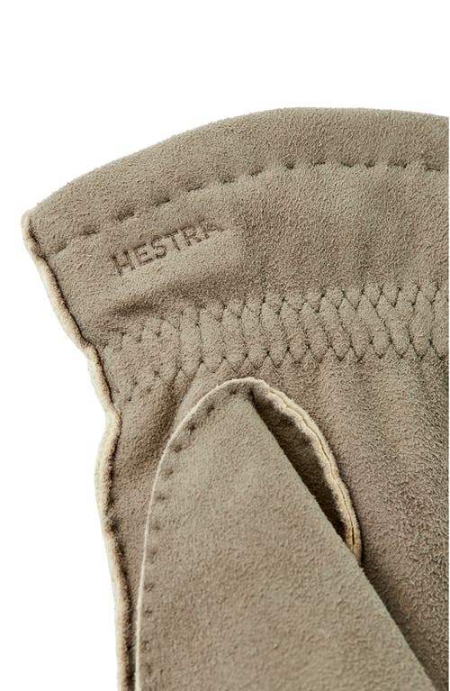 Shop Hestra Andre Suede Gloves In Natural Grey