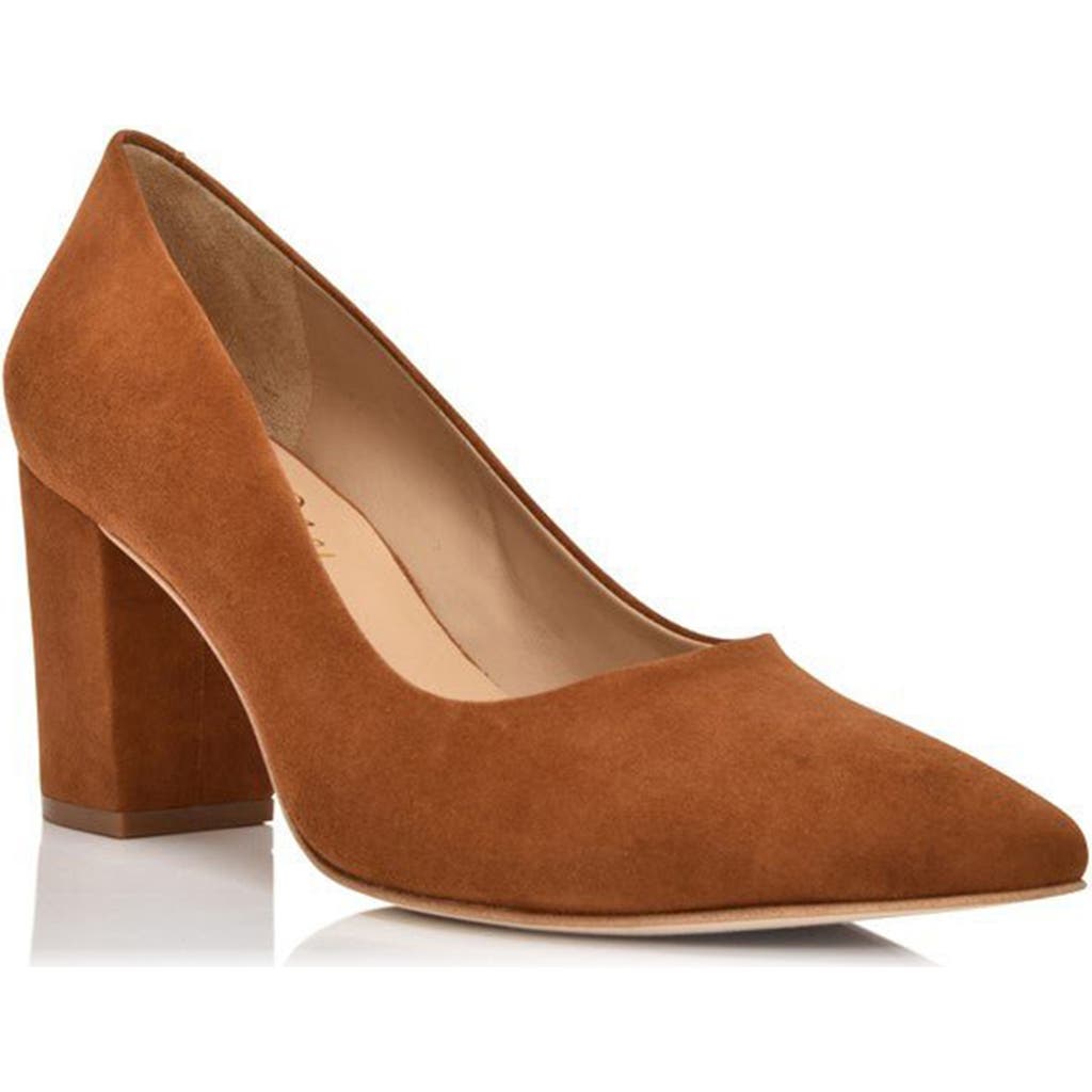 Joan Oloff Riley Pointed Toe Pump In Autumn Kid Suede