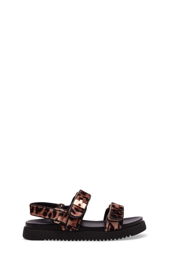 Steve Madden Mona Sandal In Leopard Velvet