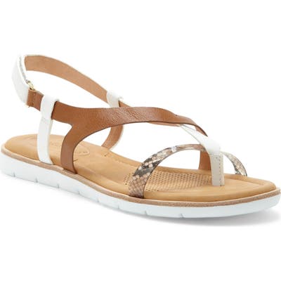 Cc Corso Como Blessia Sandal, Brown