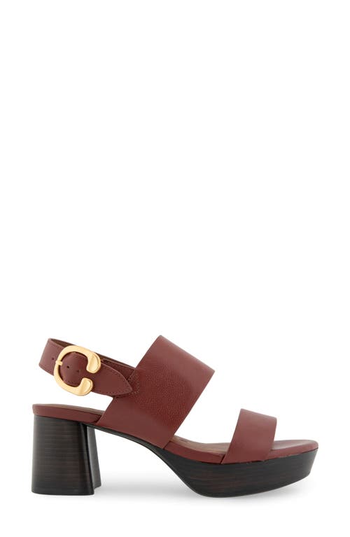 Shop Aerosoles Camera Platform Sandal In Clay Combo Leather