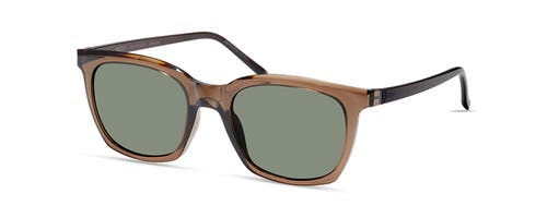 Modo 705 Sunglasses In Brown