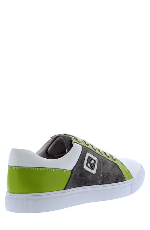 Shop Robert Graham Trixie Colorblock Cap Toe Sneaker In Charcoal