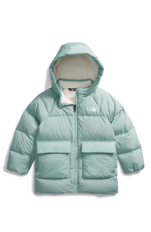 Shop The North Face Kids' North Down Fleece Lined Short Parka In Muted Pine