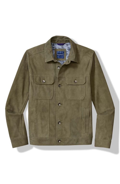 Shop Tommy Bahama Pine Lake Suede Trucker Jacket In Beetle Green