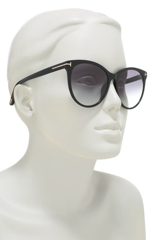 TOM FORD TOM FORD MAXIM 59MM OVERSIZED ROUND SUNGLASSES