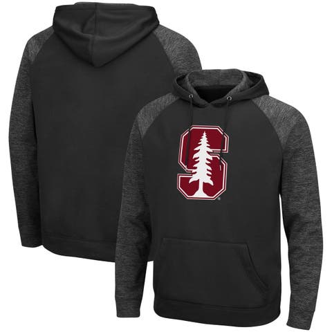 Stanford Cardinal Colosseum Arch & Logo 3.0 Pullover Hoodie - Heather Gray