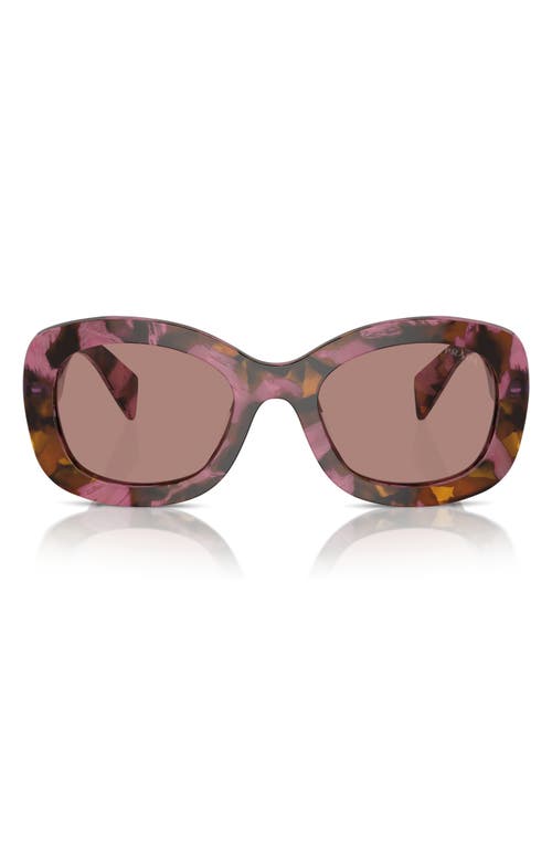 Prada 55mm Oval Sunglasses In Brown