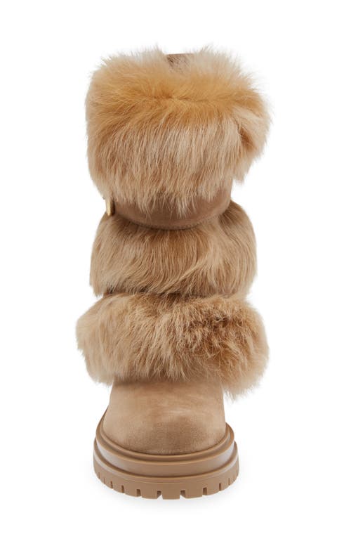 Shop Gianvito Rossi Genuine Shearling Boot In Camel/desert