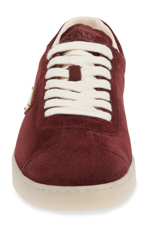 Shop Prada Lane Triangle Logo Sneaker In Bordeaux