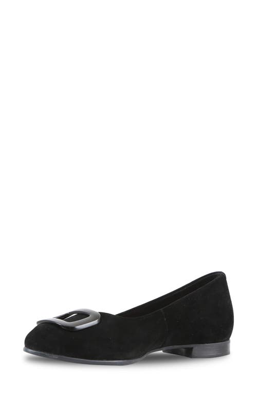Munro Gianna Buckle Flat In Black Suede