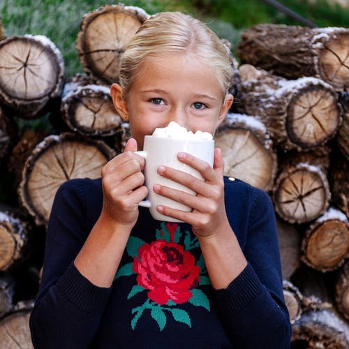 Hope & Henry Baby Girls' Organic Rose Intarsia Sweater, Infant In Black Rose Intarsia