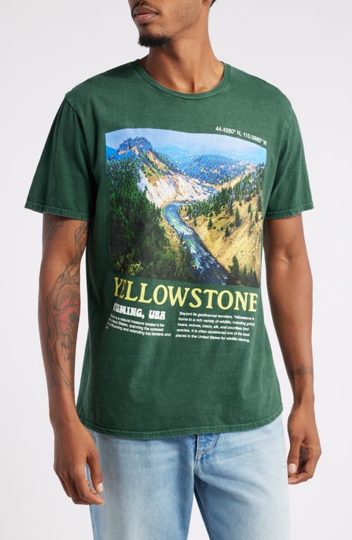 Philcos Yellowstone Graphic T-Shirt in Green Pigment 