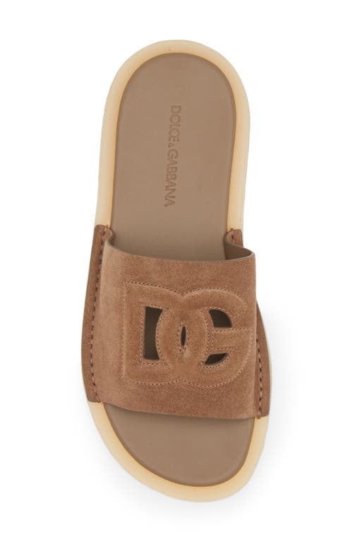 Dolce & Gabbana Dolce&gabbana Crosta Slide Sandal In 80024-nocciola