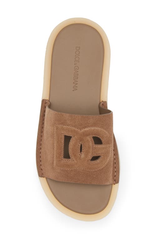 Shop Dolce & Gabbana Dolce&gabbana Crosta Slide Sandal In 80024-nocciola