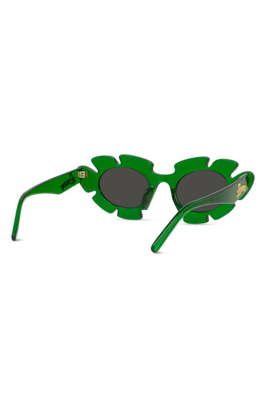 Shop Loewe X Paula's Ibiza 47mm Cat Eye Sunglasses In Dark Green/ Other / Smoke