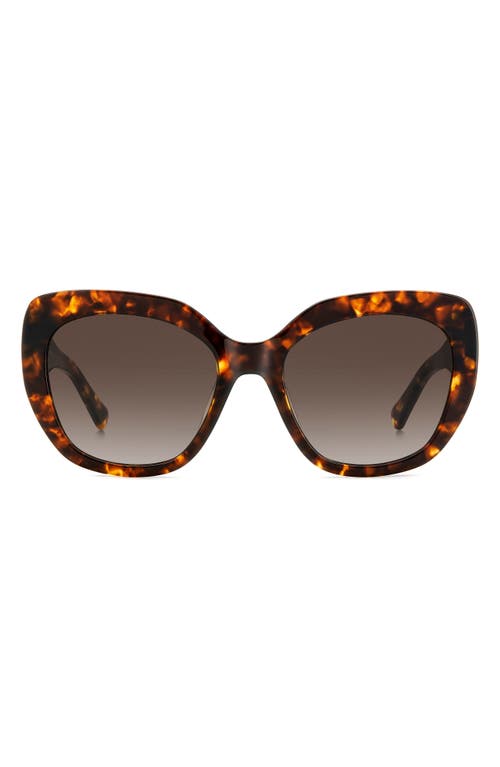 Kate Spade New York winslet 55mm gradient round sunglasses in Havana/Brown Gradient at Nordstrom