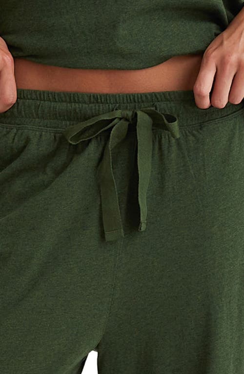 Shop Papinelle Jada Organic Cotton Pajama Pants In Forest Green