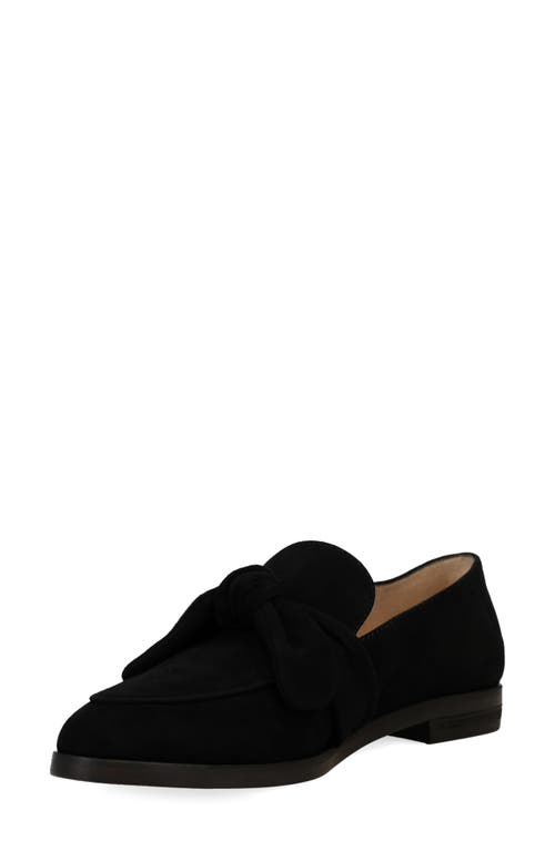 Pelle Moda Fares Loafer In Black