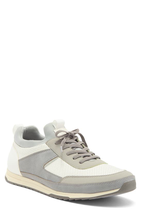 Steve Madden Mylar Sneaker In Grey/ White