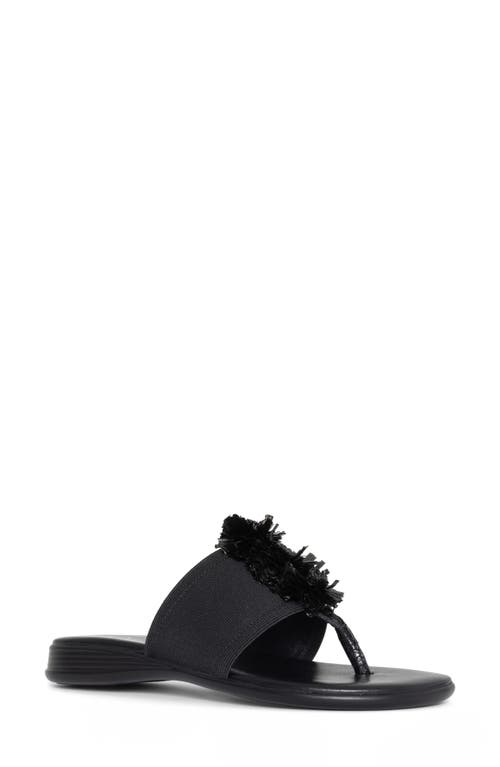 Asira Sandal in Black
