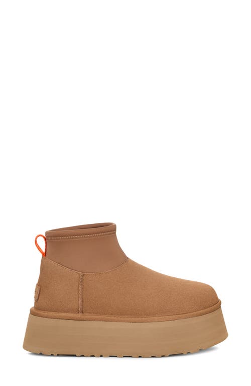 Ugg(r) Biscuit Suede Classic Mini Dipper Ankle Boots In Chestnut