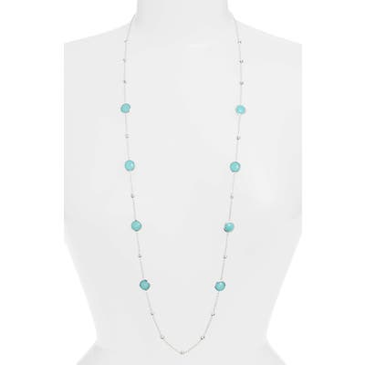 Ippolita
