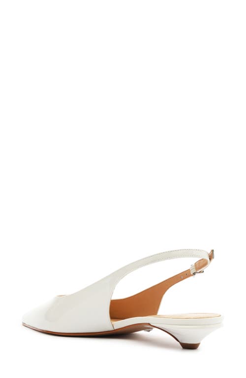 Shop Schutz Evan Pointed Toe Slingback Kitten Heel Pump In White