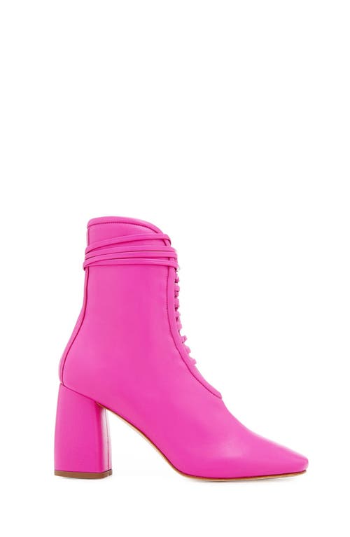 Shop Daniella Shevel Belladonna Boot In Pink