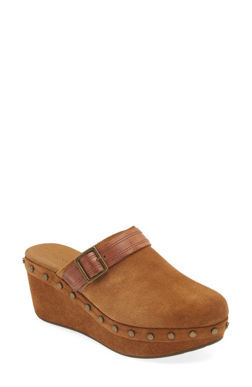 Shop Chocolat Blu Yogi Platform Wedge Mule In Cognac Suede