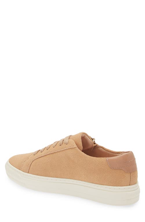 Shop Frankie4 Billie Zip Sneaker In Camel Suede