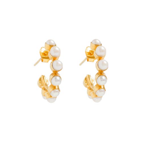Shop Freya Rose Mini Stud Pearl Hoops Earrings In Gold