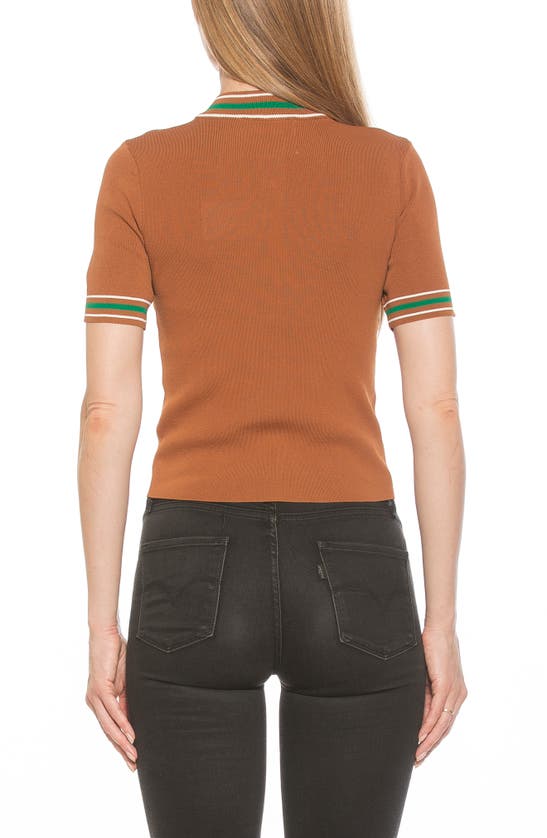 Alexia Admor Phoebe Short Sleeve Turtle Neck Sweater In Camel