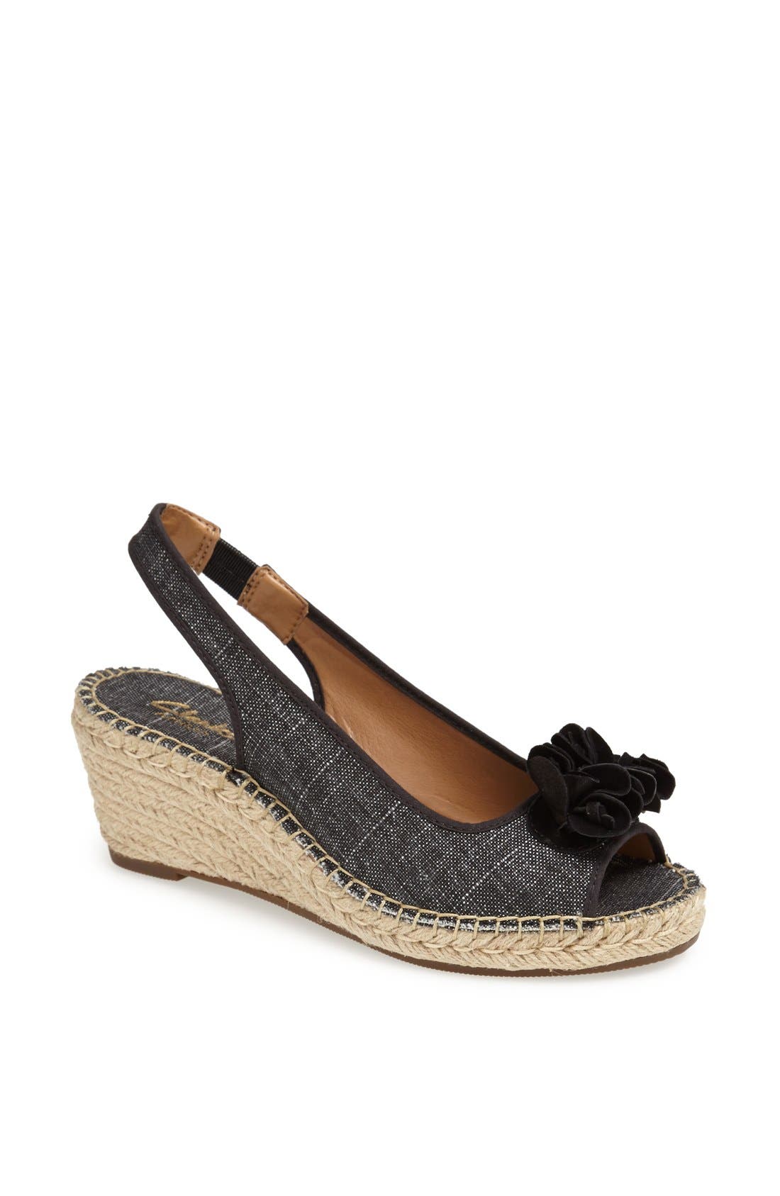 clarks petrina