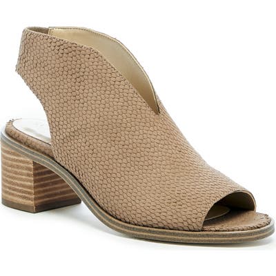 Sole Society Terryn Sandal, Brown