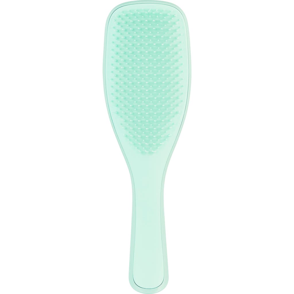Tangle Teezer Ultimate Detangler Hairbrush For Fine & Fragile In Jade Lagoon
