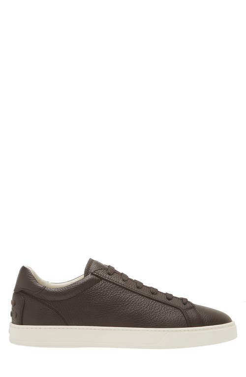 Shop Tod's Cassetta Sneaker In Caffe