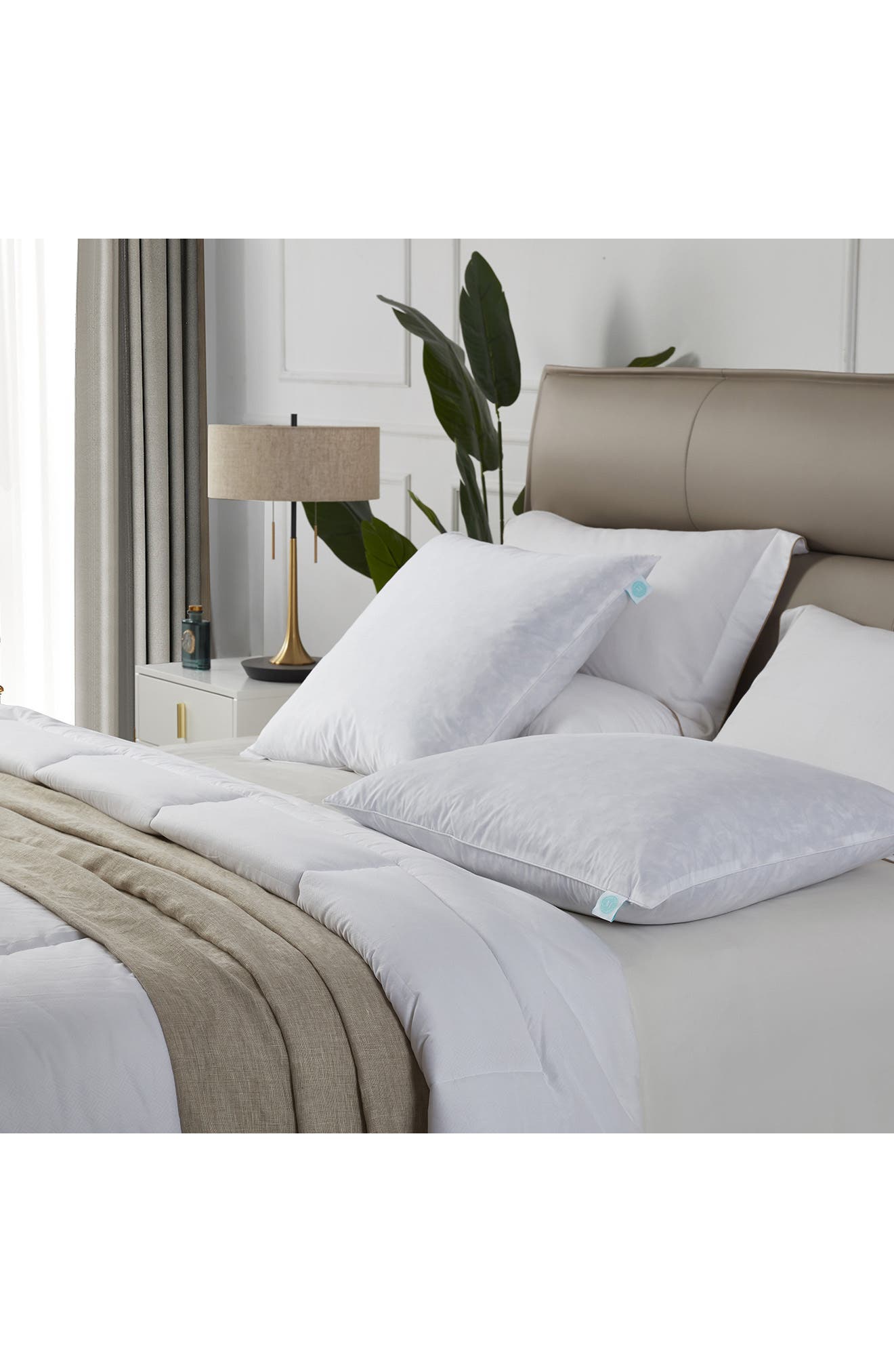 martha stewart euro pillow