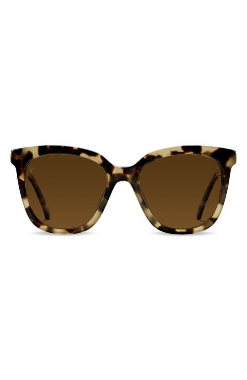 Ellison 54mm Polarized Round Sunglasses in Havana Brown