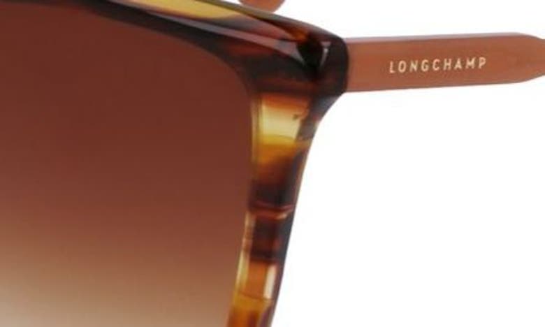 LONGCHAMP LONGCHAMP LE PLIAGE 56MM GRADIENT RECTANGULAR SUNGLASSES