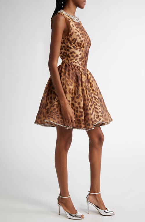 Shop Zimmermann Crystal Embellished Leopard Print Paneled Minidress