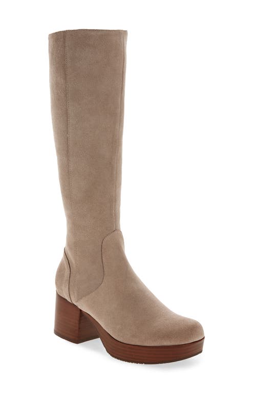 Knee High Platform Boot in Taupe Suede