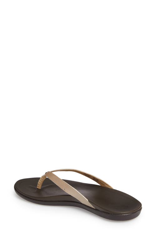 Shop Olukai Ho Opio Leather Flip Flop In Bubbly/dark Java Leather