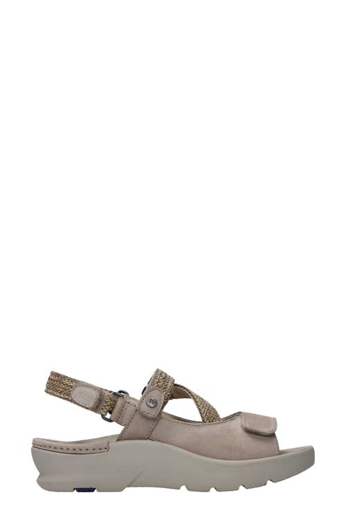 Shop Wolky Lisse Slingback Sandal In Safari Nubuck