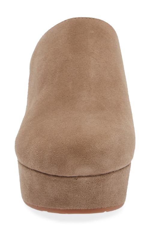 Shop Chocolat Blu Ginette Platform Clog In Taupe Suede